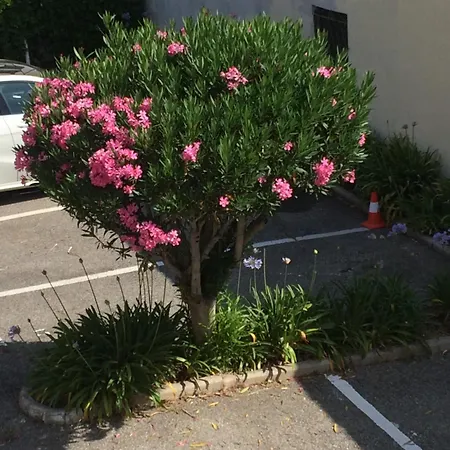 Appartement Eden - 300m De La Mer , Parking Privatif Inclus
