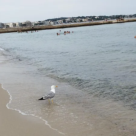 Eden - 300m De La Mer , Parking Privatif Inclus Appartement *